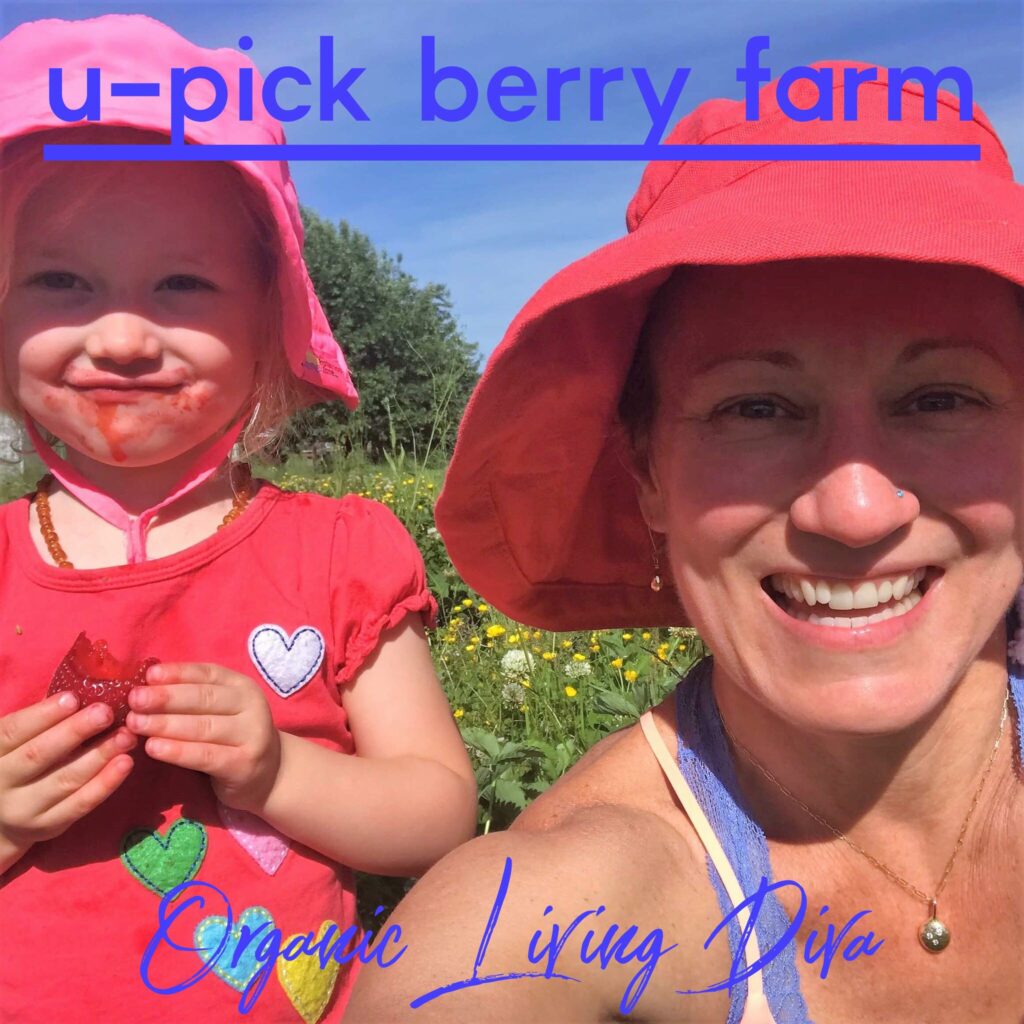U-pick berry farm family photo
