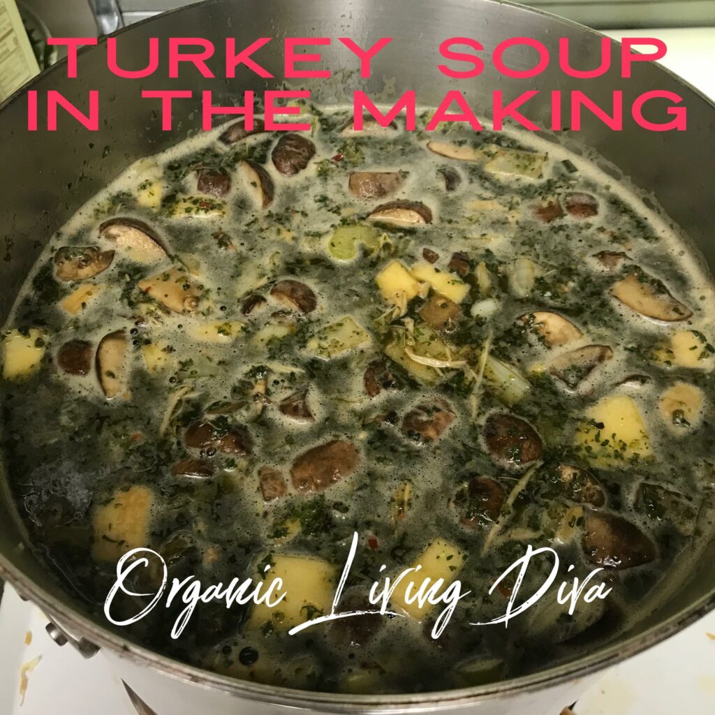 making turkey soup with broth and leftovers
