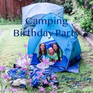 Camping Birthday Party
