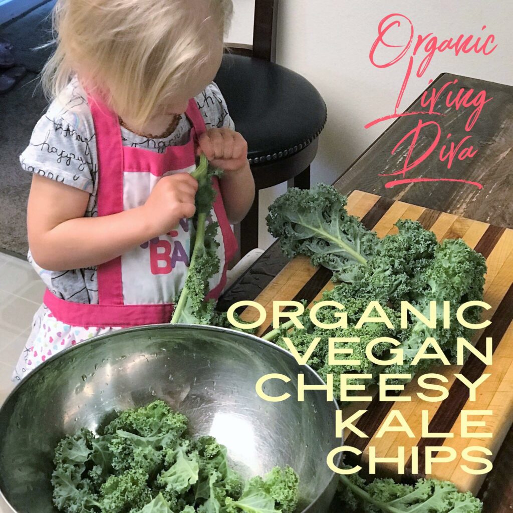 Organic Vegan Cheesy Kale Chips chef assistant breaking apart kale