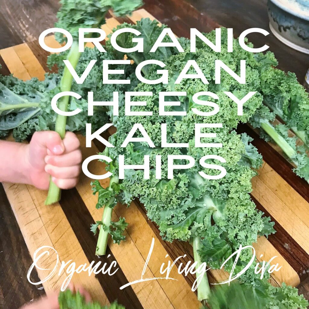 Prepping the Kale for Organic Vegan Cheesy Kale Chips