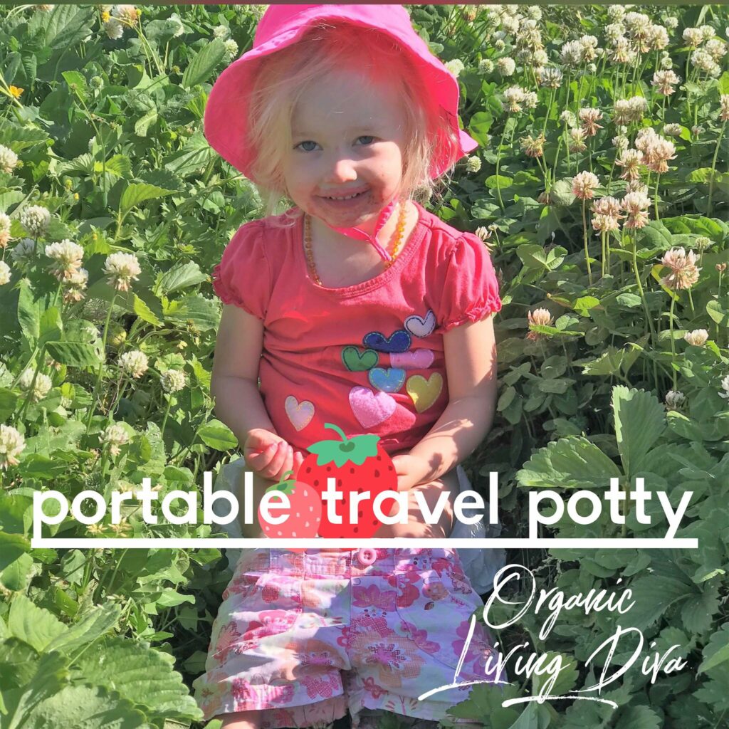 portable-travel-potty at the u-pick berry farm