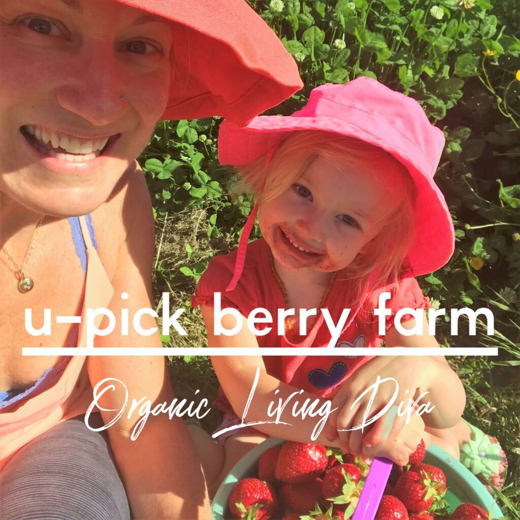 U-pick berry farm family fun