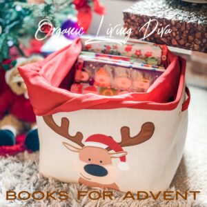 Advent-Book-Box