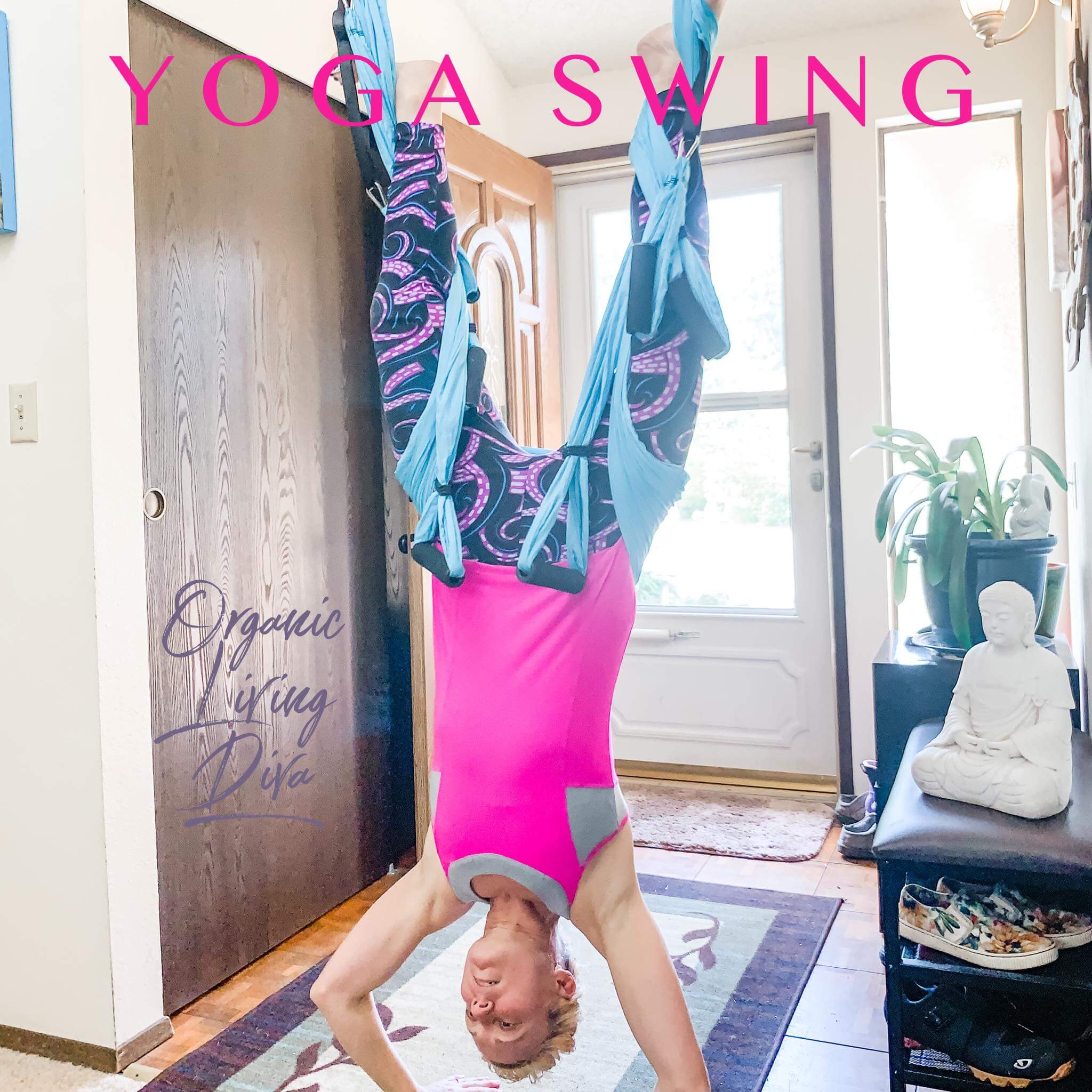 Yoga Swing Inversion